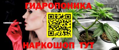 молекула духа Новоалтайск