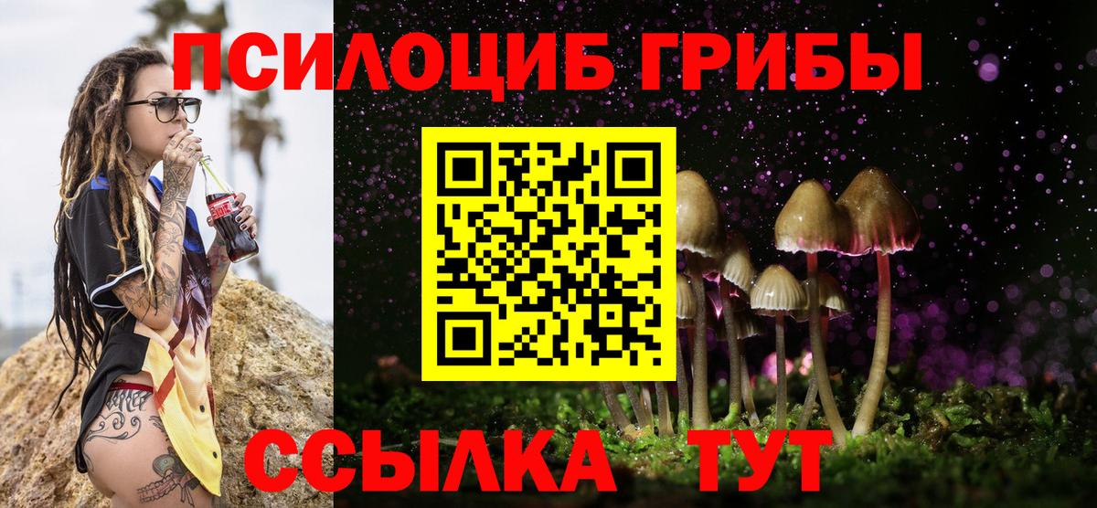 Дубна  Галлюциногенные грибы мицелий  Вход с VPN  Галлюциногенные грибы MAGIC MUSHROOMS 